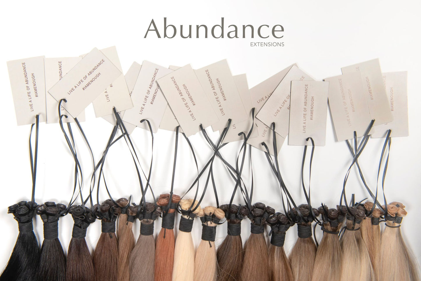 Masterclass Ticket – Abundance Extensions